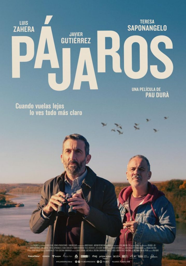 Cartel de la película "Pájaros"